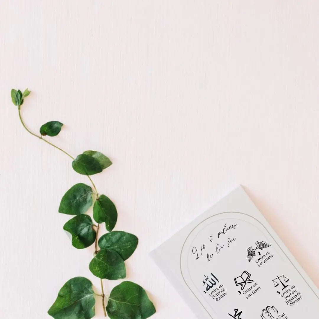 Indispensable Pack (15 stickers)